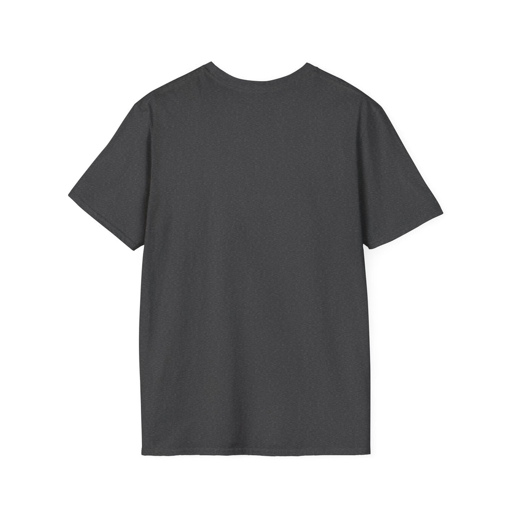 'A DFF Playoff Haiku' T-Shirt — Funny Hockey Fan Tee (Includes "Fuck Sidney Crosby")