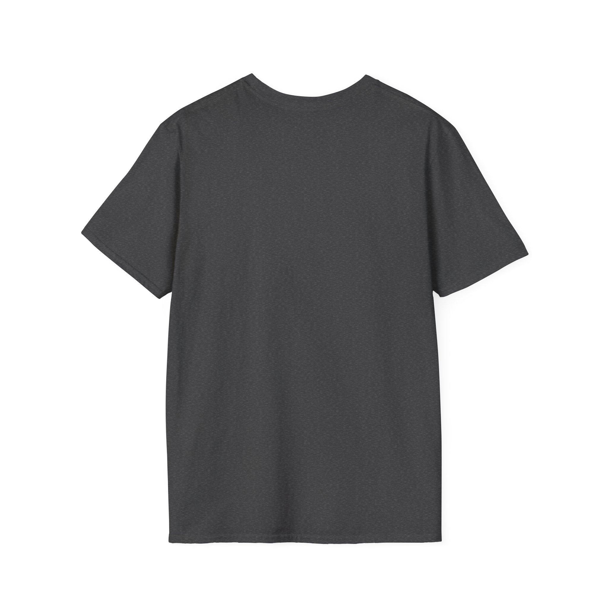 'A DFF Playoff Haiku' T-Shirt — Funny Hockey Fan Tee (Includes "Fuck Sidney Crosby")